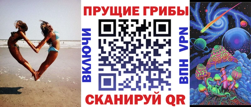 Купить где Москва Галлюциногенные грибы Magic Shrooms