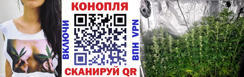 Каннабис White Widow  Купить закладки  Москва 